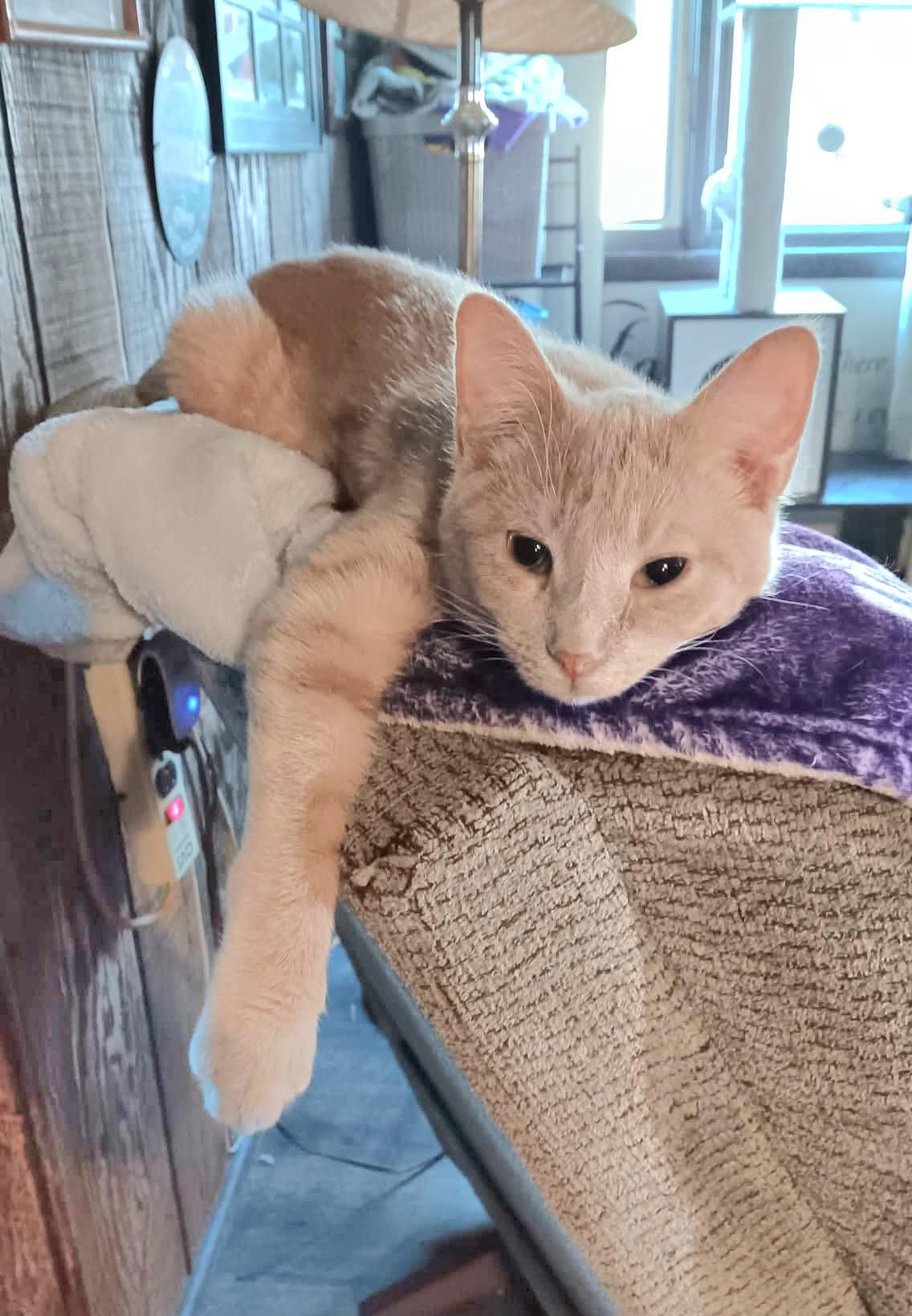 Toby & Keith *Bonded Butterscotch Bros*