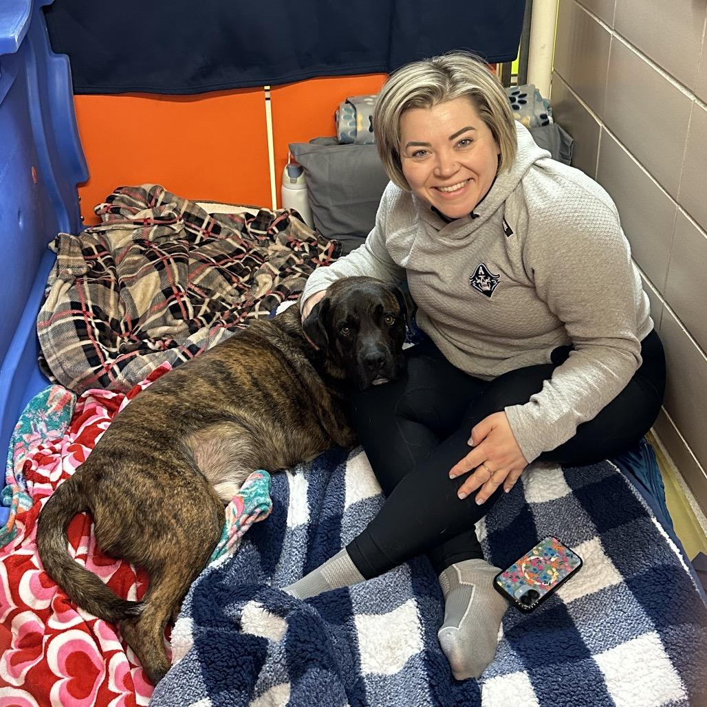 Enlarge Roscoe, a Adoptable Mixed Breed in Waukesha, WI image 2/4