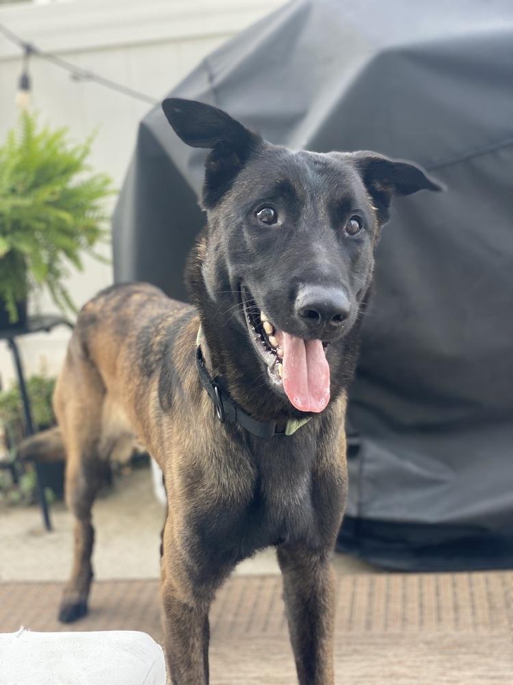 Coby  Located In thumbnail 6