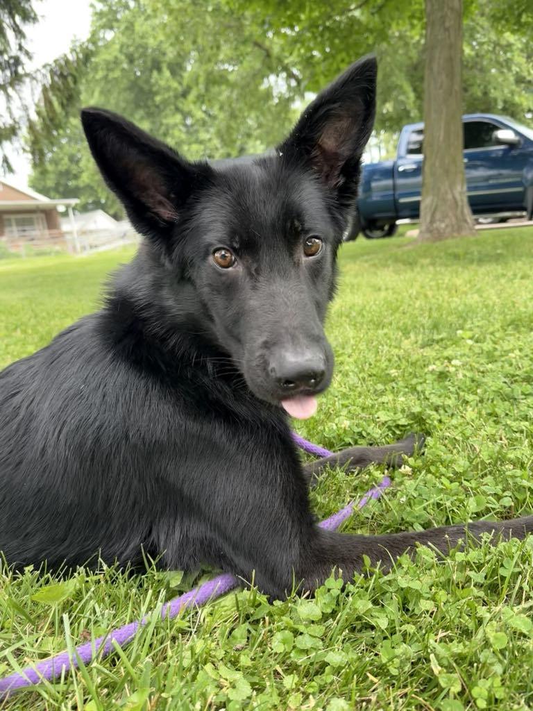 Major (in a FOSTER home) 3