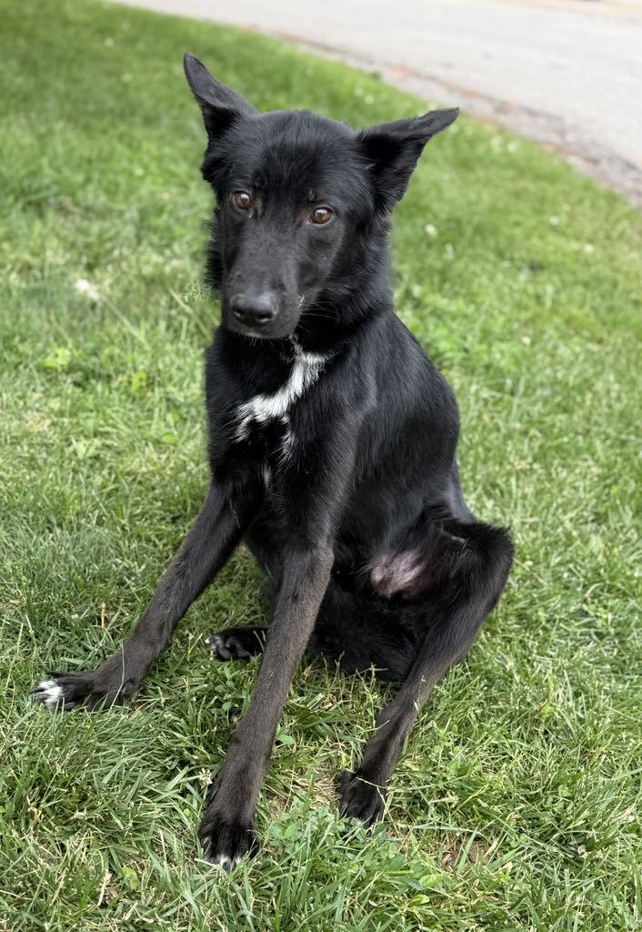 Major (in a FOSTER home) 4