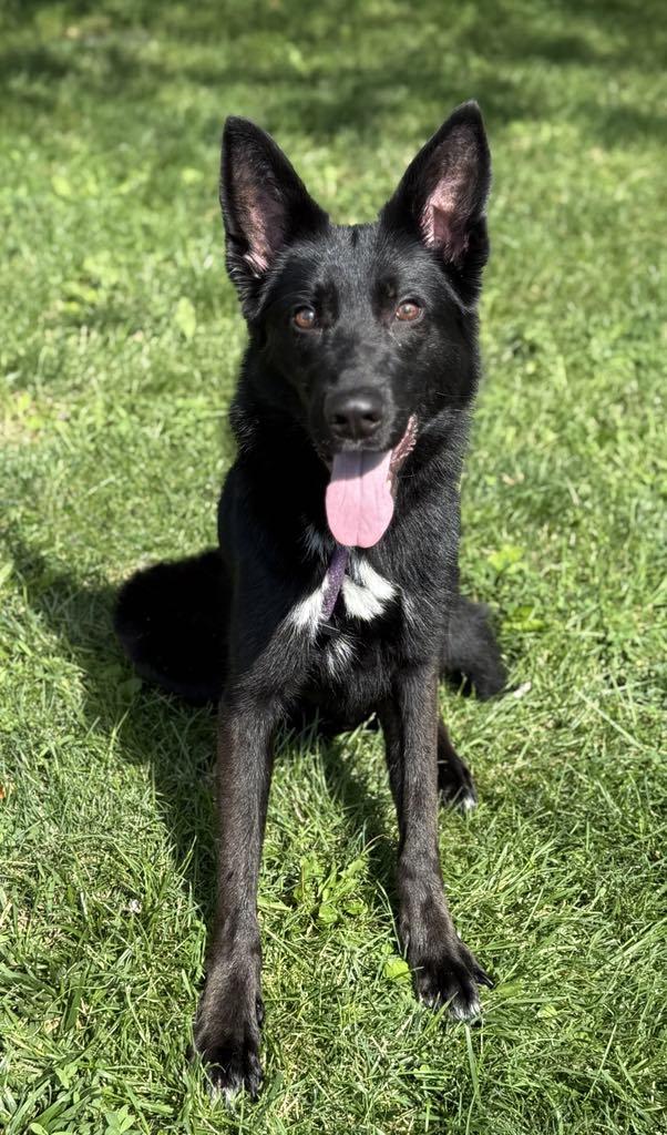 Major (in a FOSTER home)