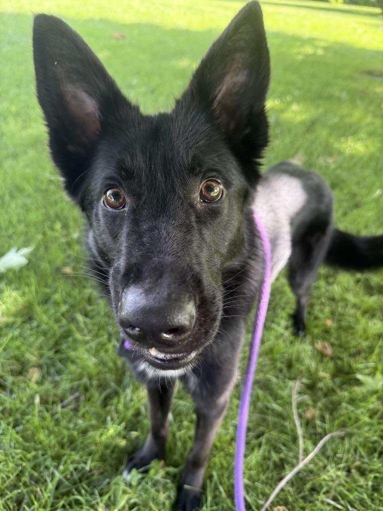 Major (in a FOSTER home) 2
