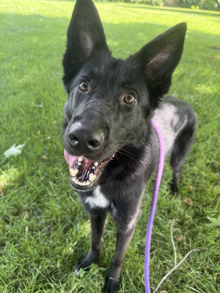 Major (in a FOSTER home) 5