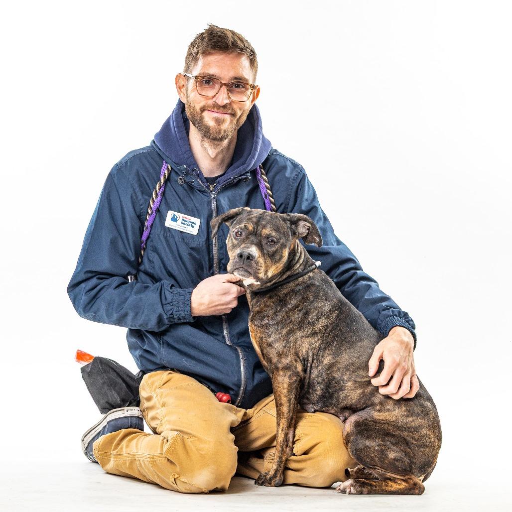 Enlarge Kori, a Adoptable Pit Bull Terrier in Reno, NV image 3/6