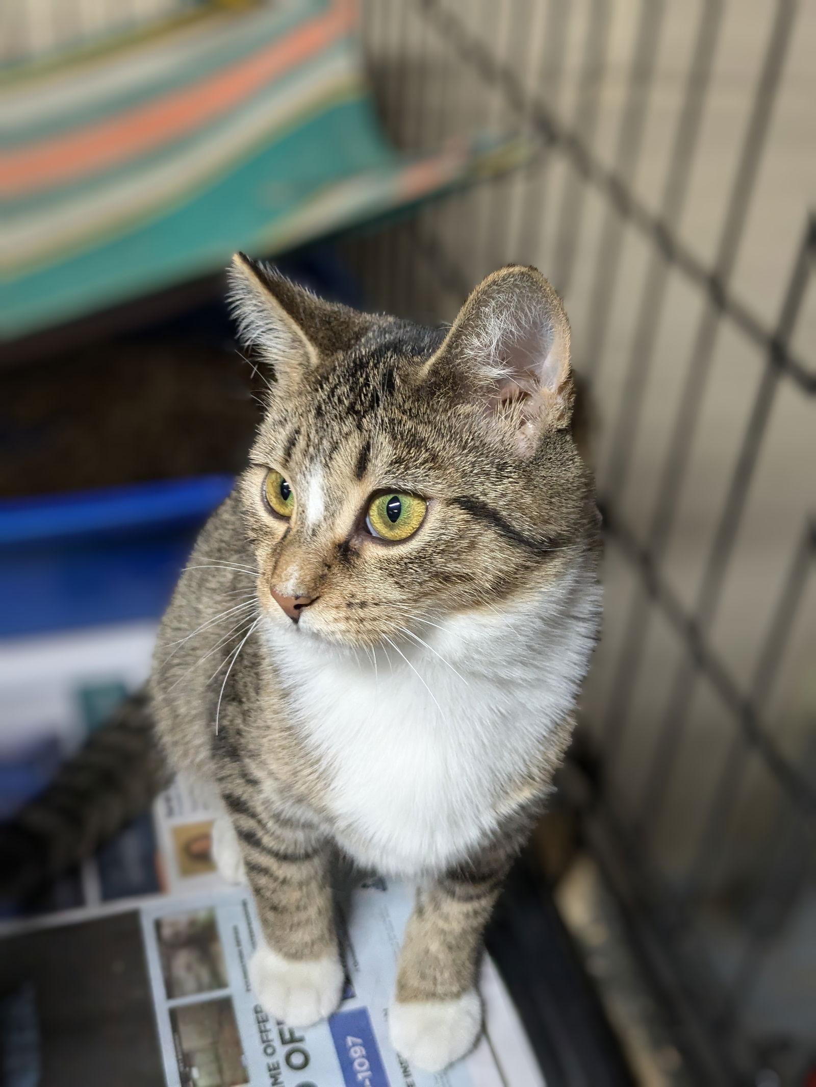 Aurora — thumbnail 2