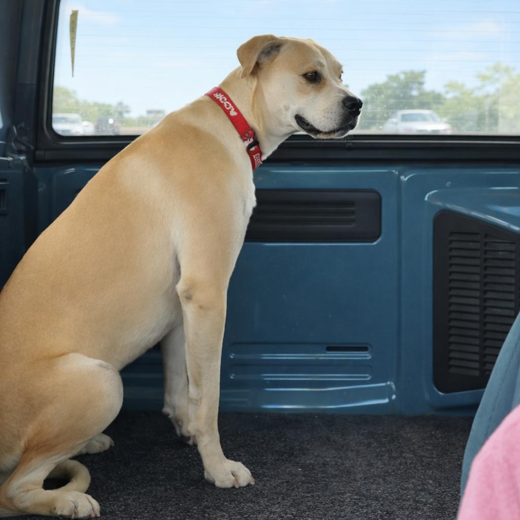 Breaker — thumbnail 5