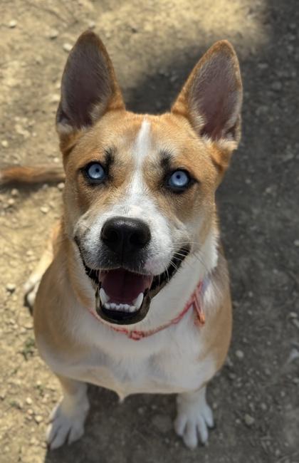 Sailor Moon — thumbnail 2