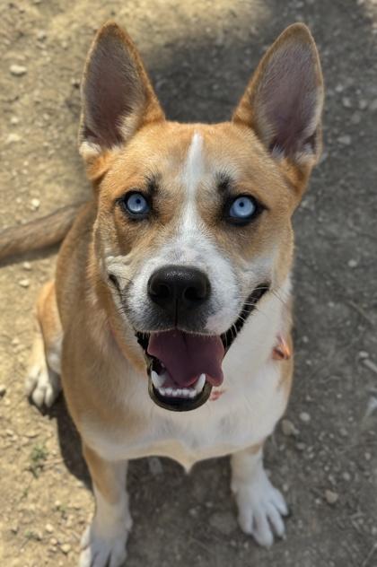 Sailor Moon — thumbnail 3