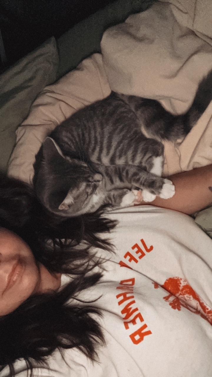 Enlarge Ember, a Adopted mixed breed in LAKE ARIEL, PA image 3/3