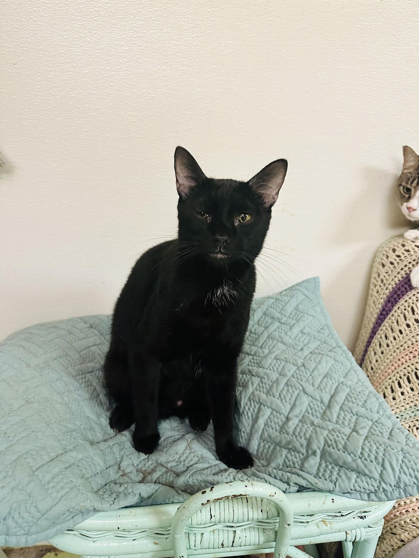 Ivan — thumbnail 2