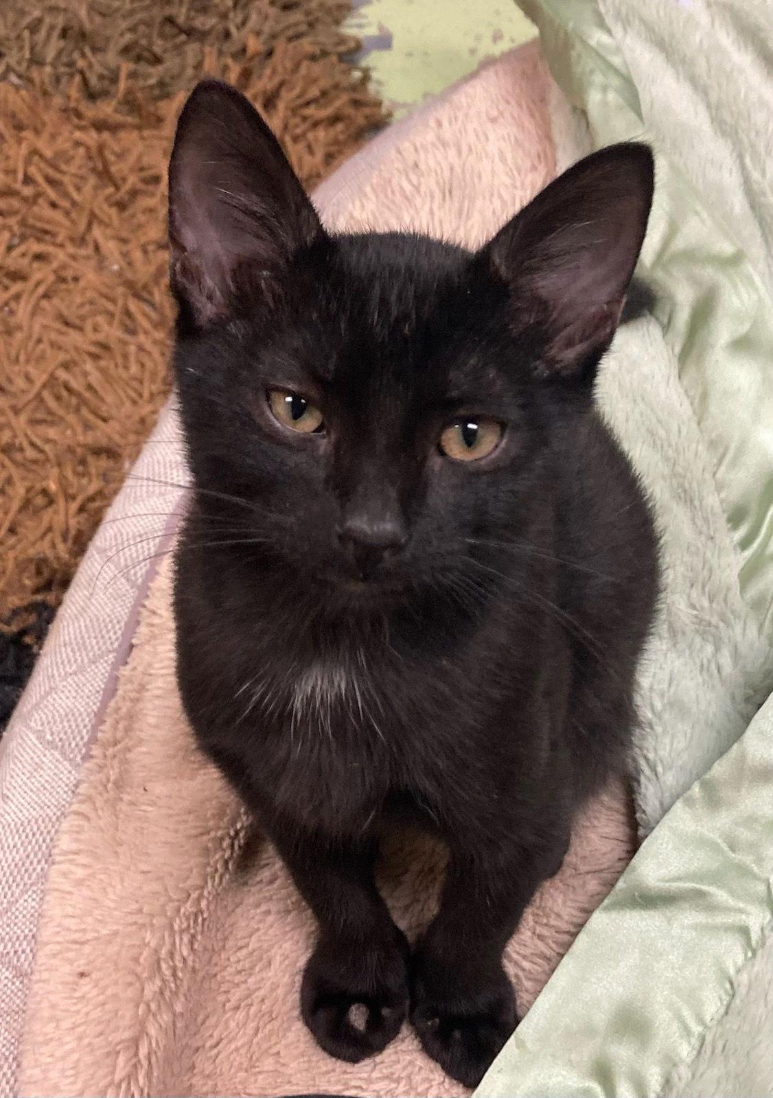 Ivan — thumbnail 3