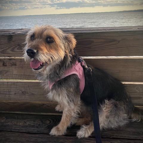 Rosie May thumbnail 3