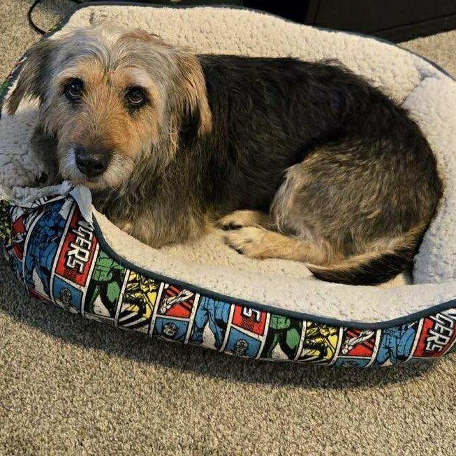 Rosie May thumbnail 5