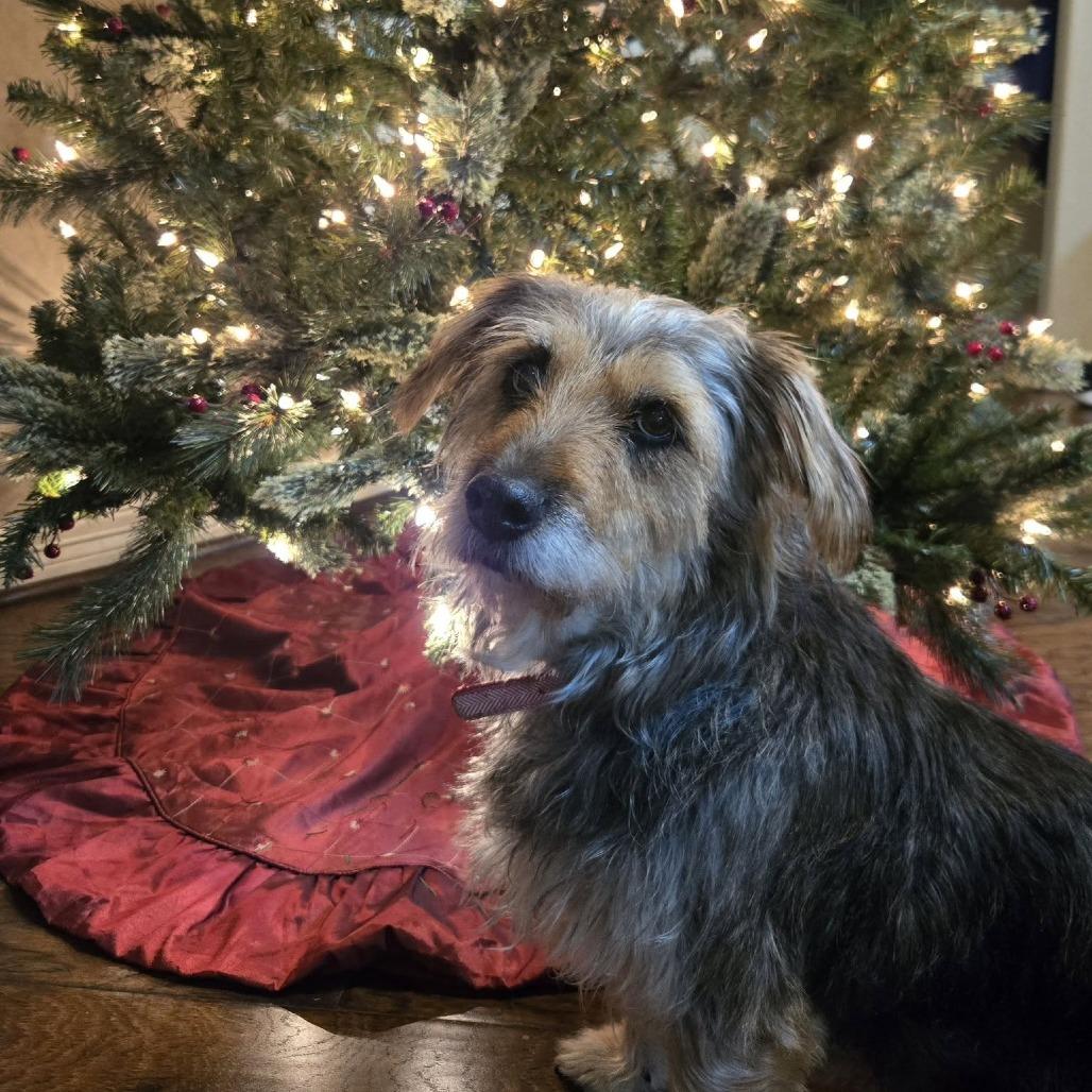 Rosie May thumbnail 6