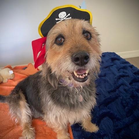 Rosie May thumbnail 7