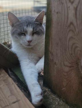 Azure — thumbnail 2