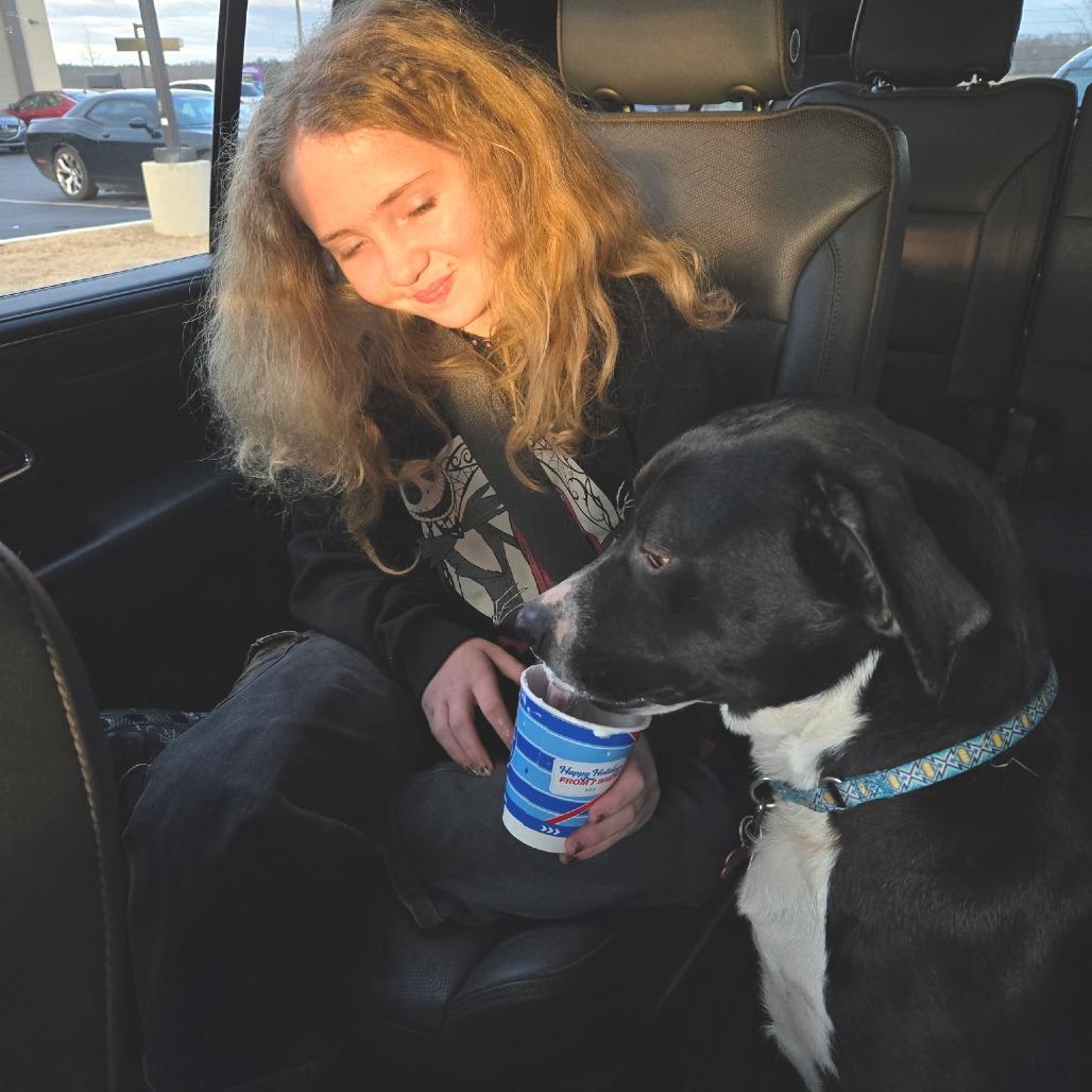 Rudy, a Adoptable mixed breed in Bessemer, AL image 6/6