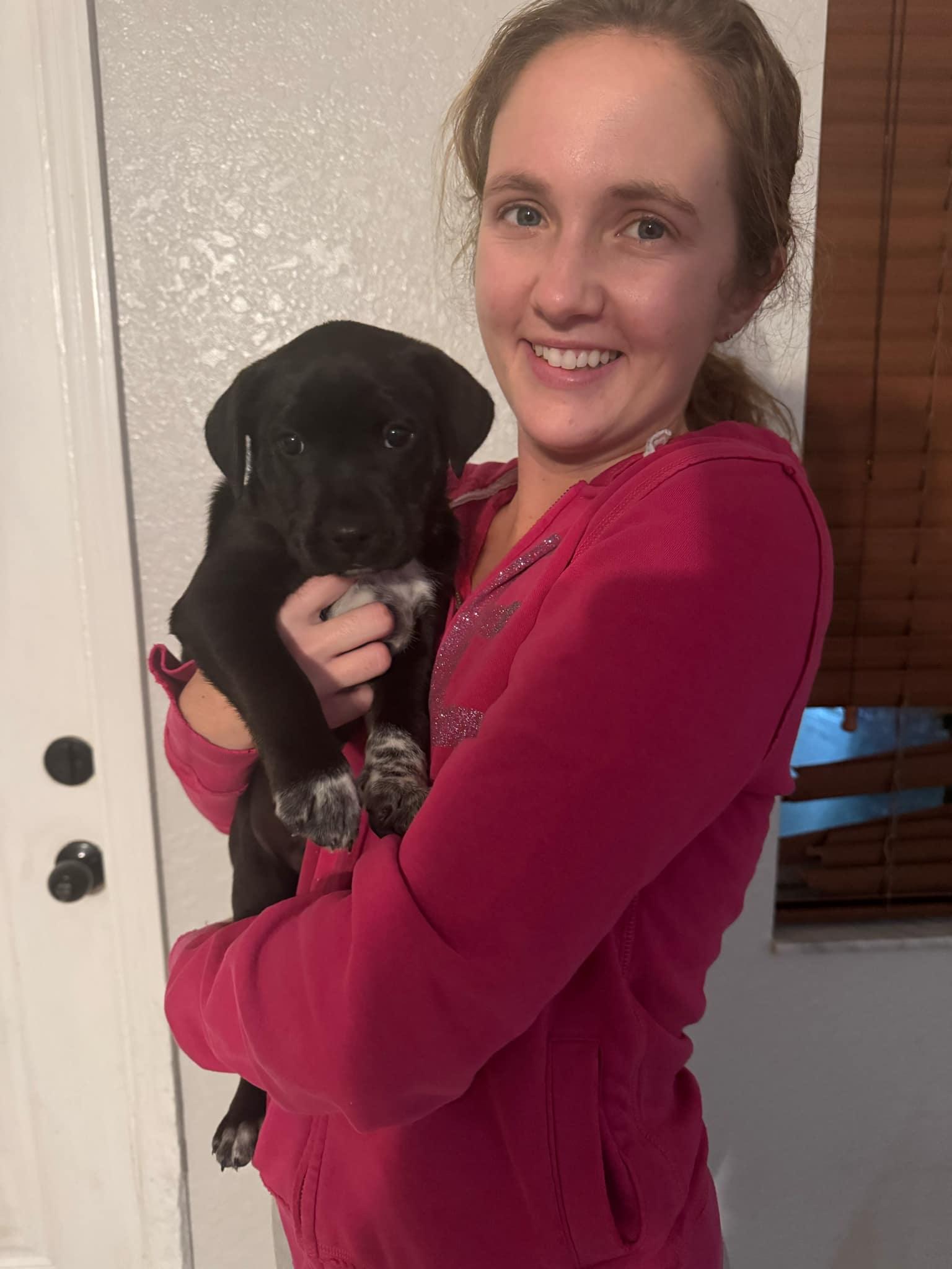 Hagrid, a Adoptable mixed breed in Loxahatchee, FL image 3/4