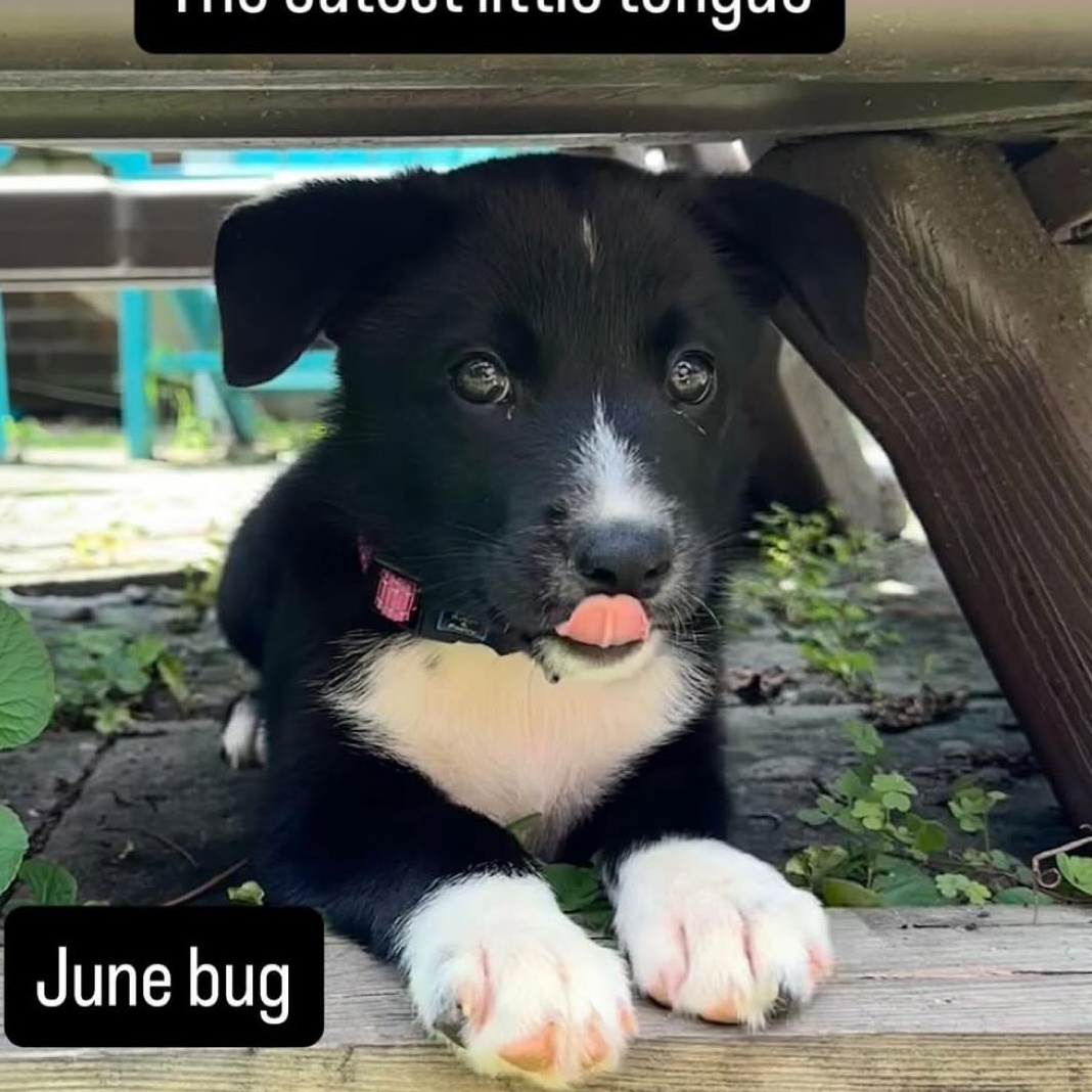 June thumbnail 6