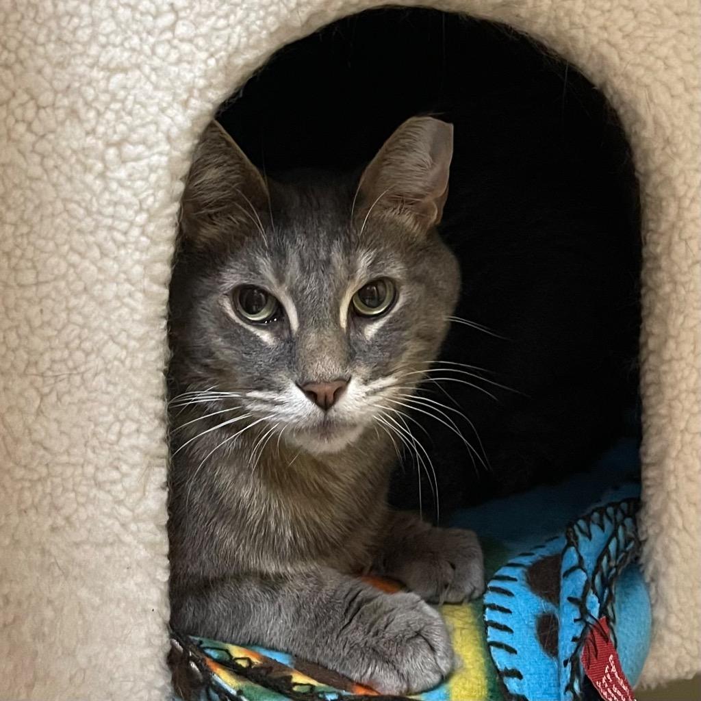 BABY BOY #1 — thumbnail 2