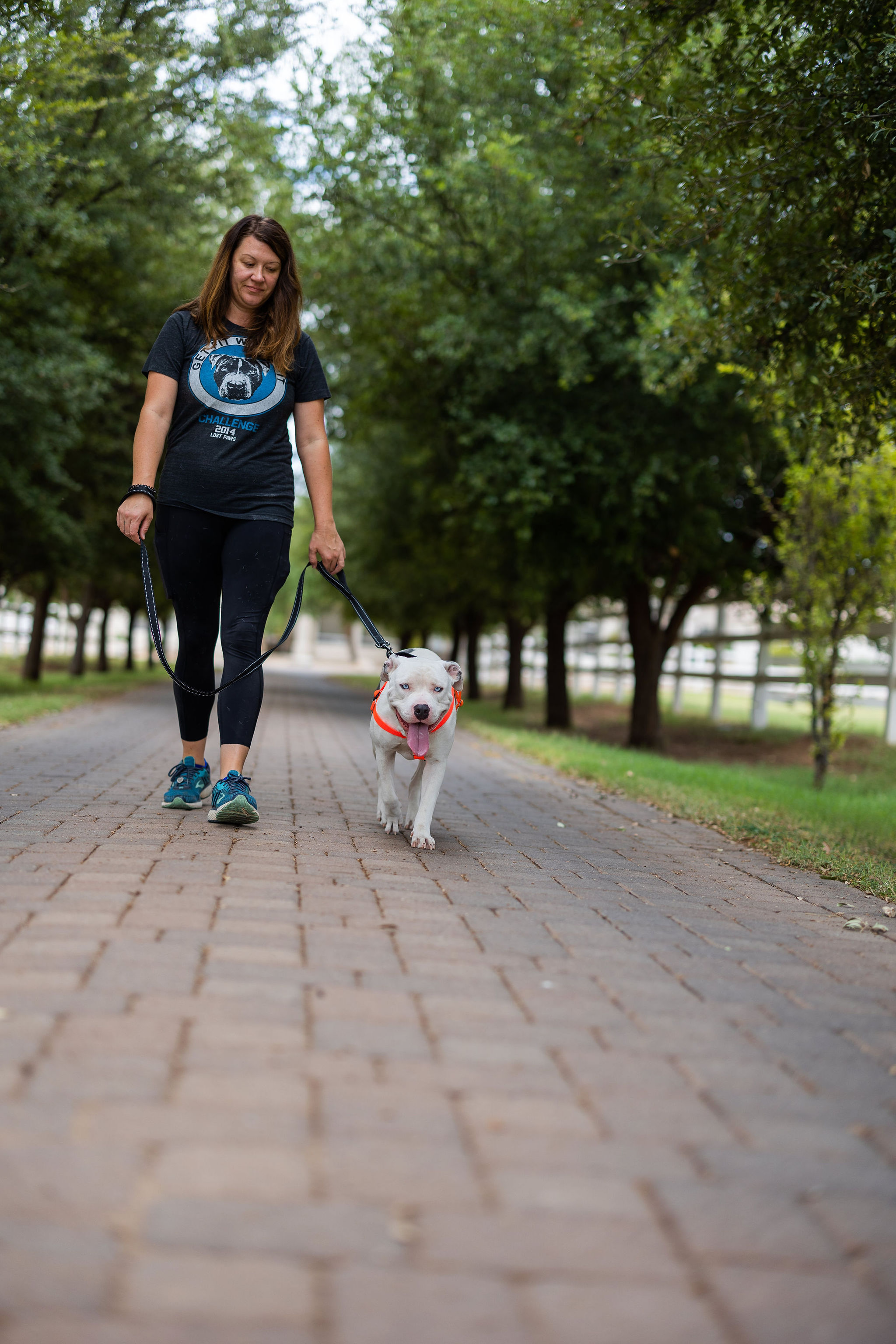 Eddie, a Adoptable mixed breed in Peoria, AZ image 3/6