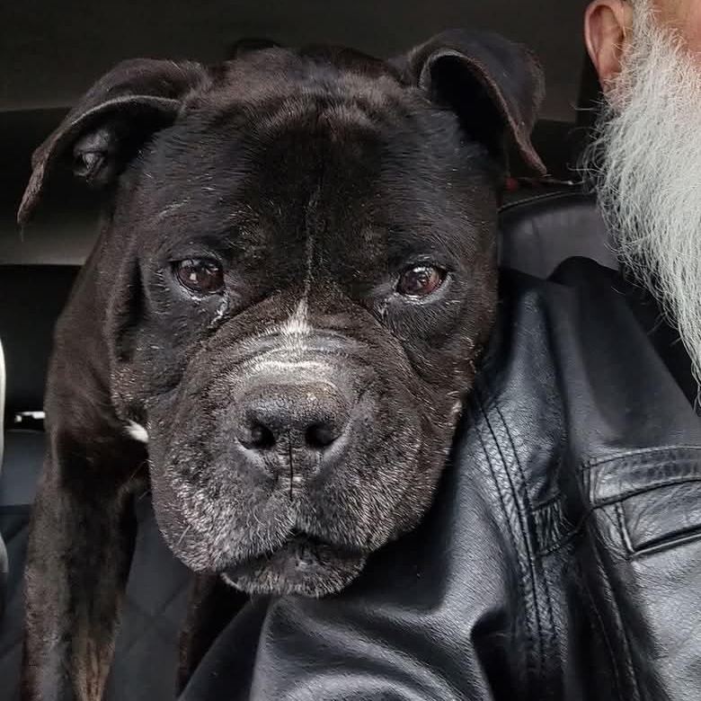 Hamburger thumbnail 2