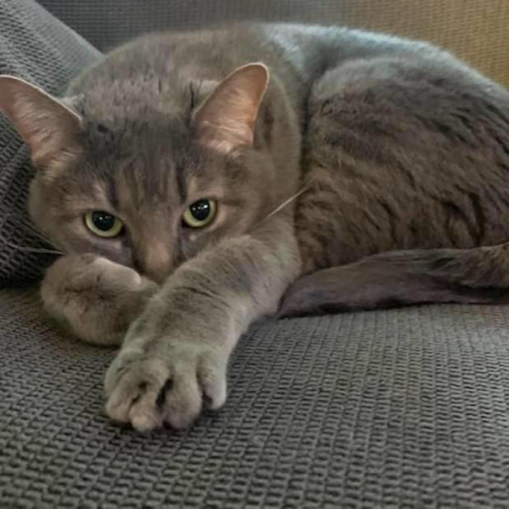 Cecelia Kent — thumbnail 3