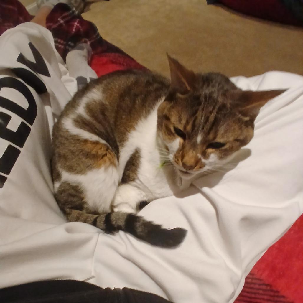 Miller — thumbnail 6