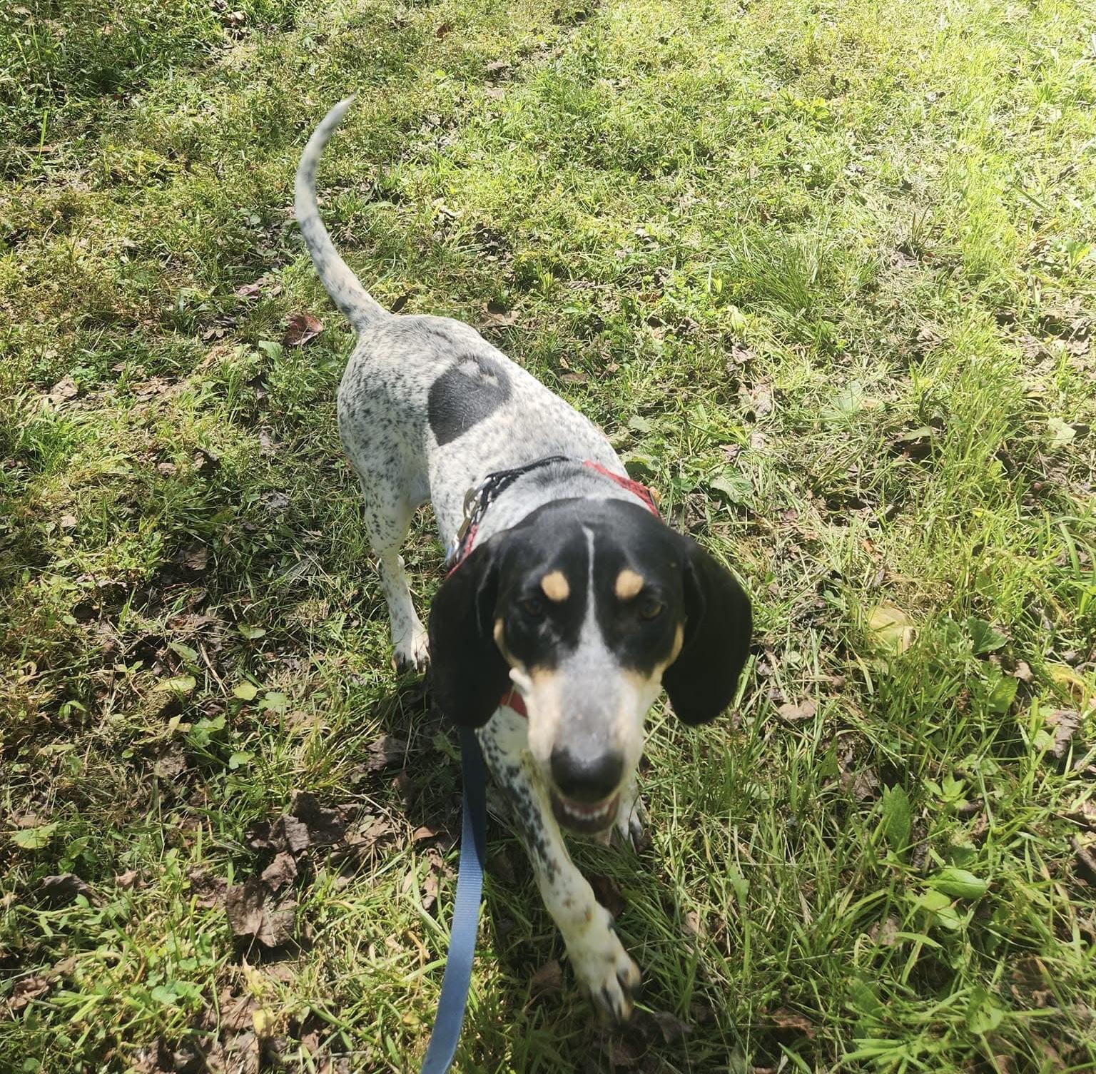 Dolly Parton thumbnail 3