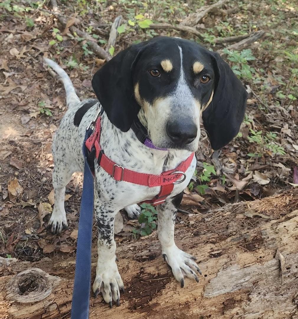 Dolly Parton photo 1