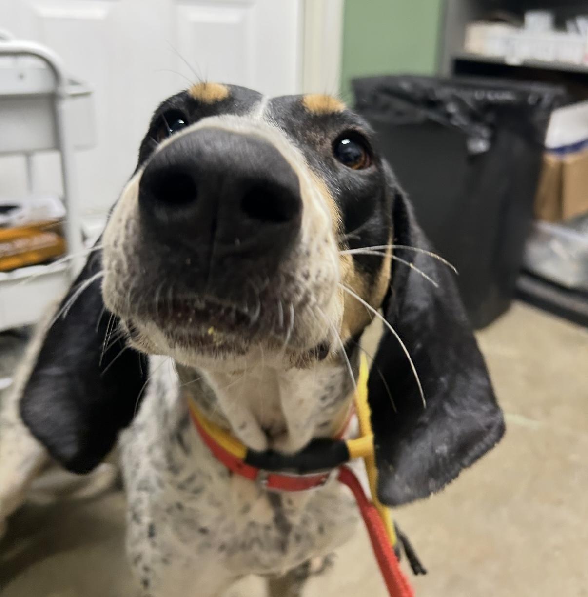 Dolly Parton thumbnail 2