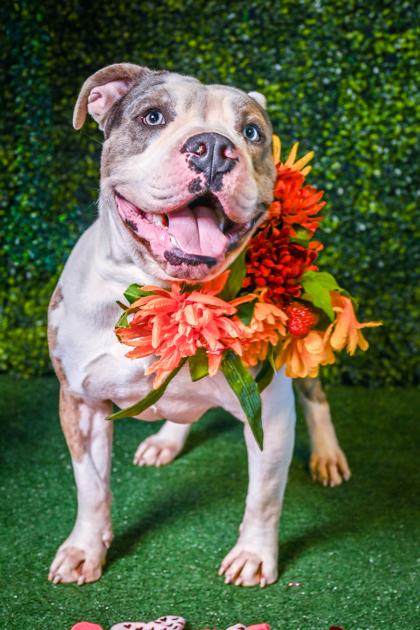 Patricio — thumbnail 2