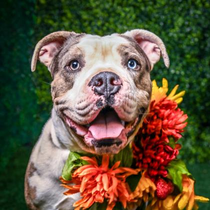 Patricio — thumbnail 3