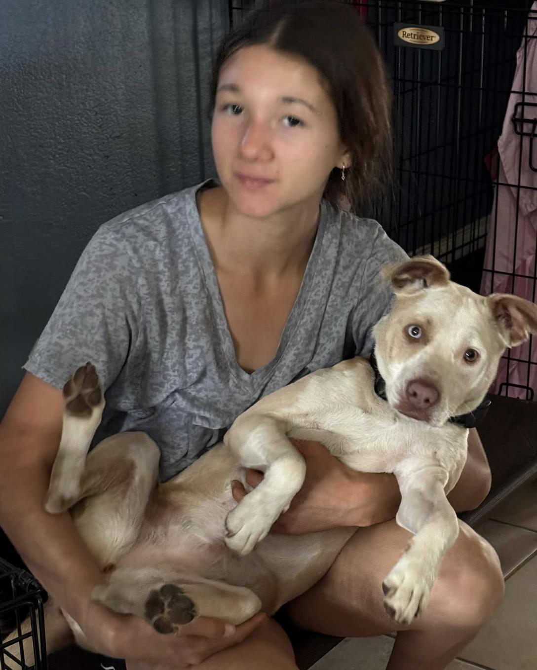 Enlarge Snow, a Adoptable mixed breed in San Francisco, CA image 2/6