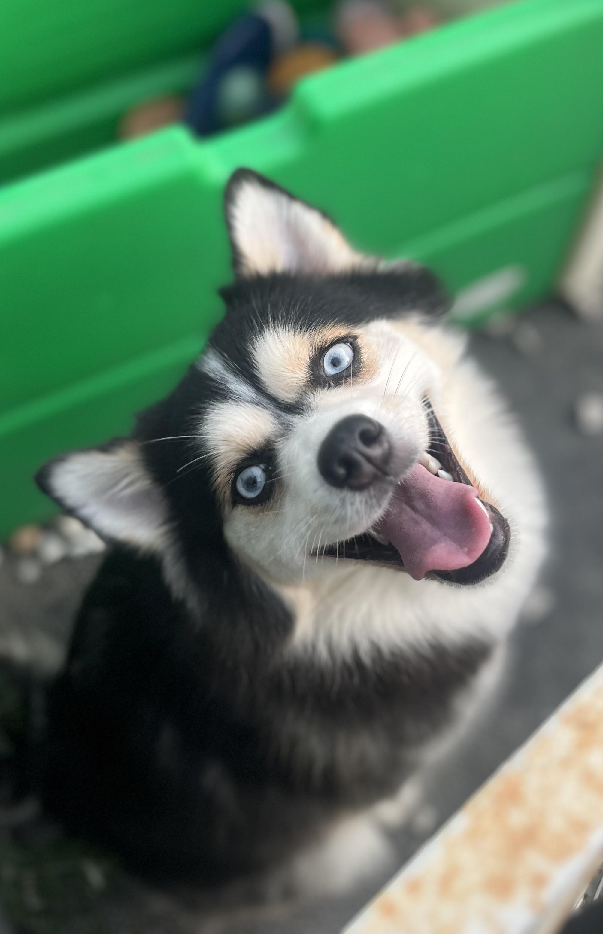 Luna