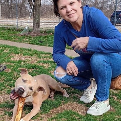 Enlarge Tillie, a Adoptable Mixed Breed in Southaven , MS image 4/6