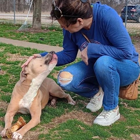 Enlarge Tillie, a Adoptable Mixed Breed in Southaven , MS image 1/6