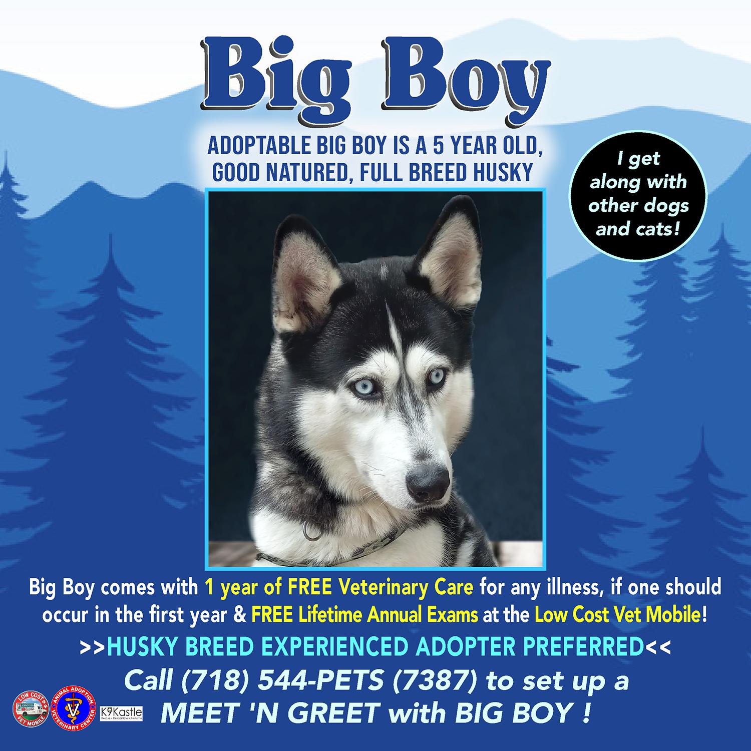 Big Boy photo 2
