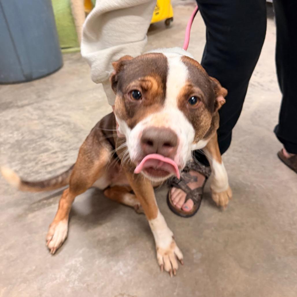 Crystal — thumbnail 2