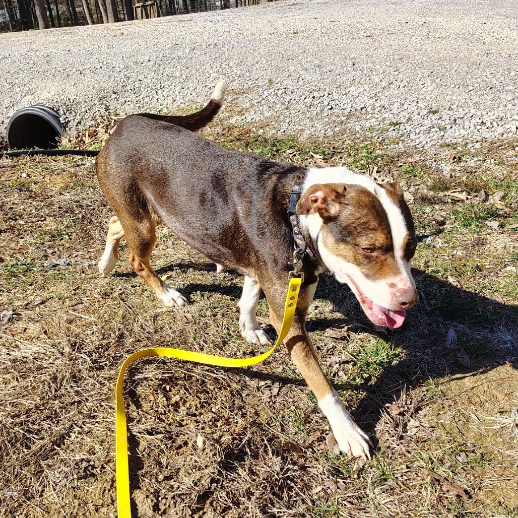 Crystal — thumbnail 3