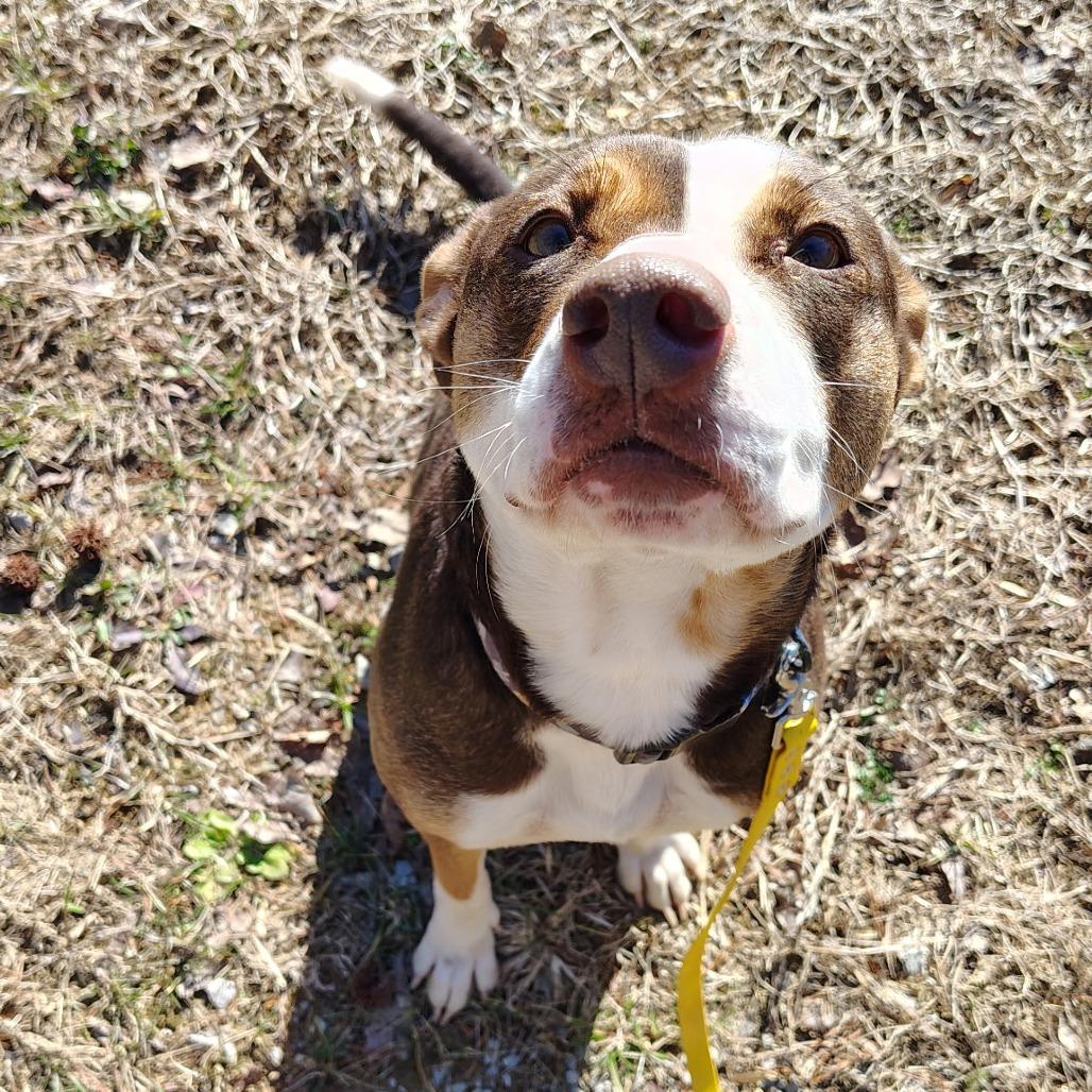 Crystal — thumbnail 5