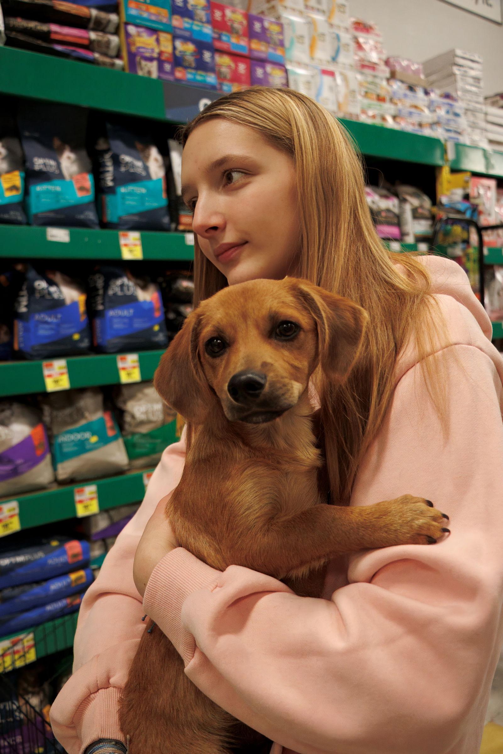 Enlarge Walter, a Adoptable Mixed Breed in Morganville, NJ image 2/2