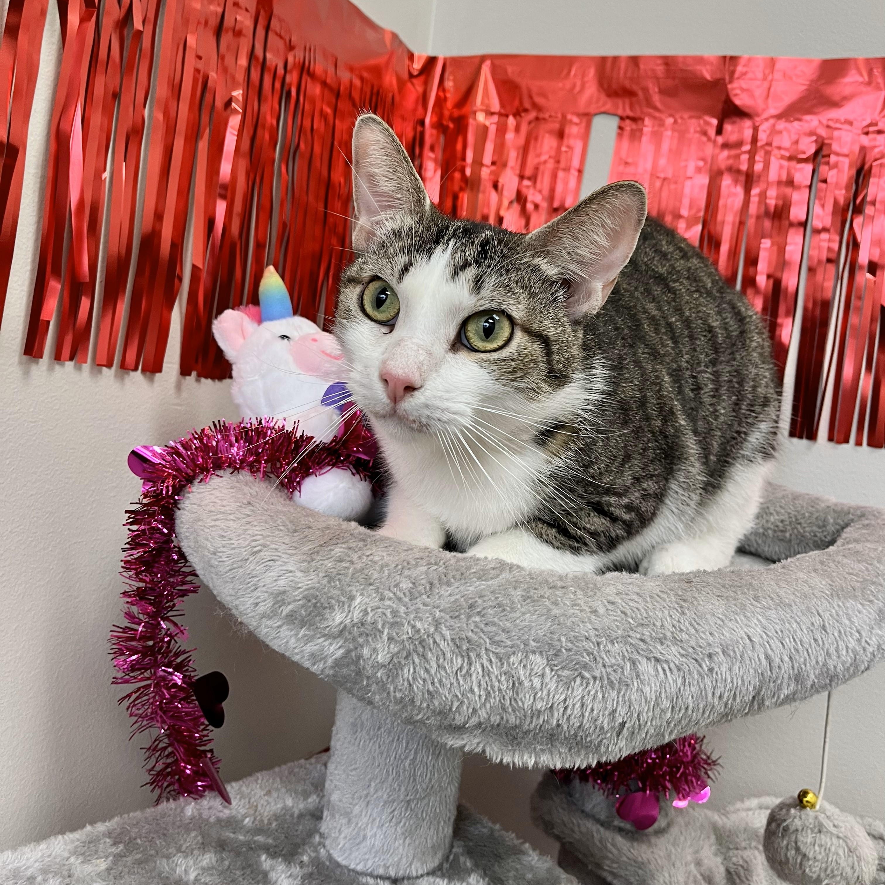 Siptah — thumbnail 2