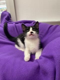 Alyssa — thumbnail 2