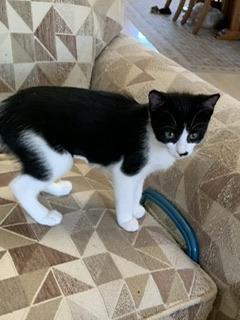 Alyssa — thumbnail 3