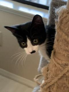 Alyssa — thumbnail 4