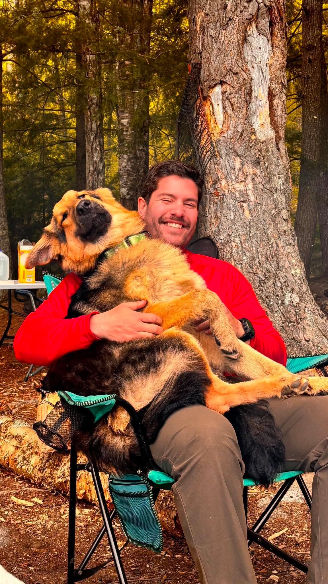 Enlarge Sanji, a Adoptable mixed breed in Argyle, NY image 5/6