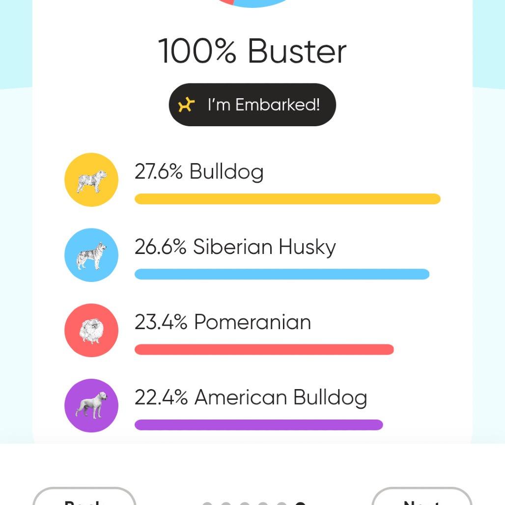 Enlarge Buster Jones, a Adoptable mixed breed in Olympia, WA image 4/4