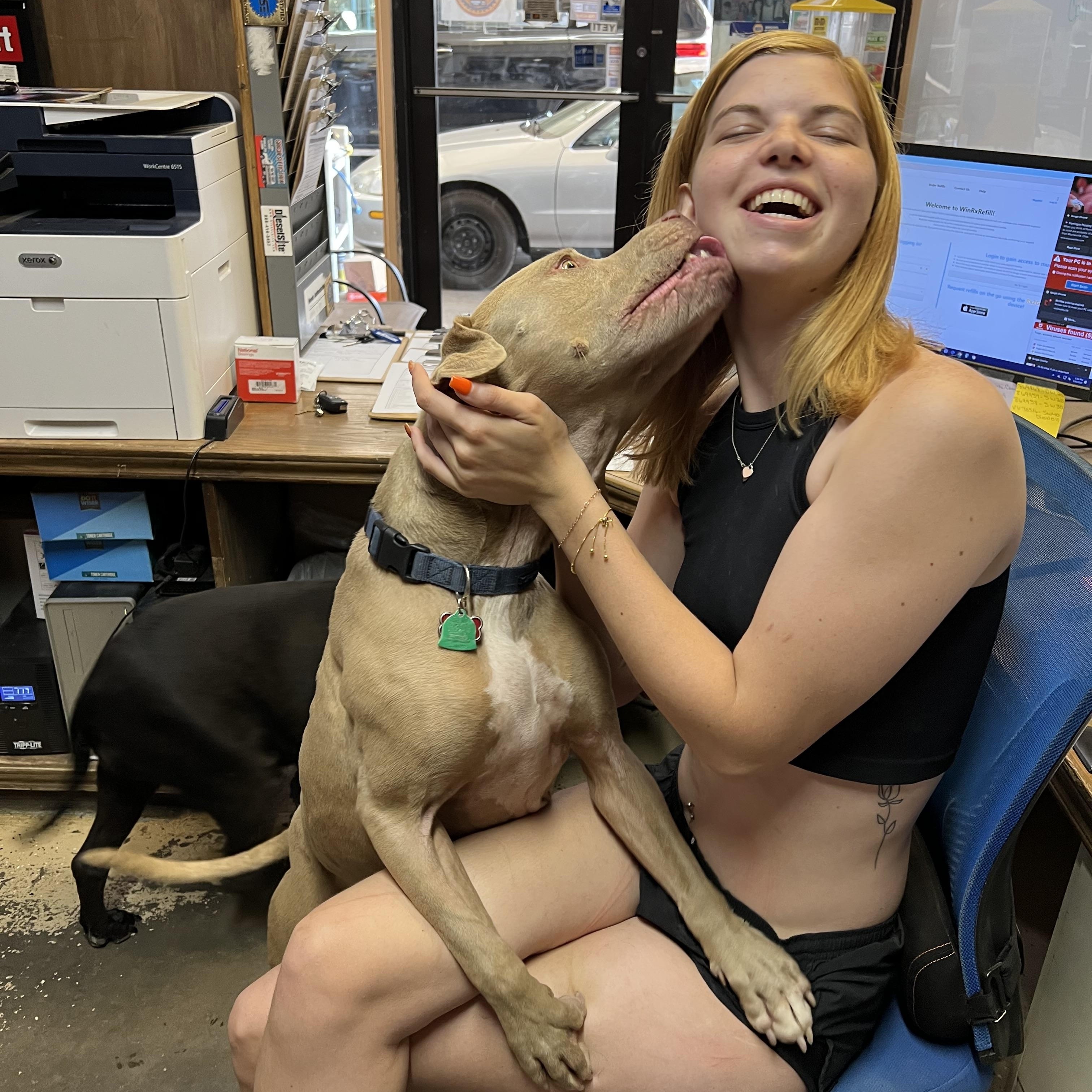 Demson — thumbnail 3